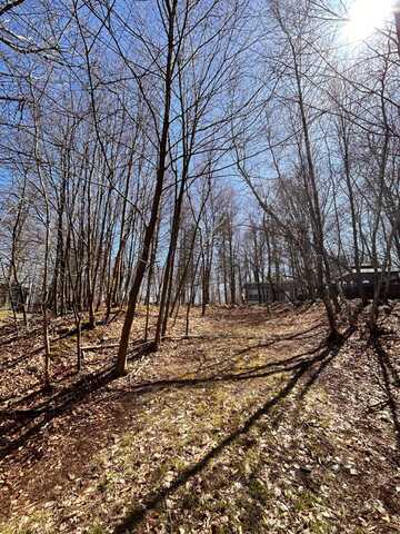 129 TENNIS TERRACE, Gouldsboro, PA 18424