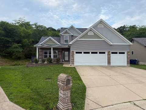 203 Chadwyck Cir, Herculaneum, MO 63048