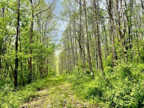 0 Bailey Town Church Rd, Bridgeport, WV 26330