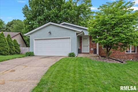 119 CALVIN Avenue, Springfield, IL 62704