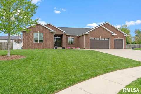 113 RAMBLEWOOD Drive, Chatham, IL 62629