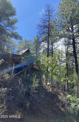 3994 N Mohawk Street, Pine, AZ 85544