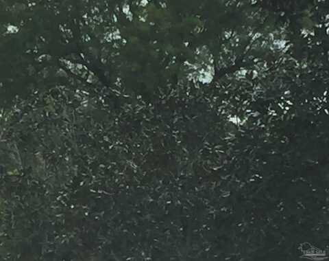 Lantana Dr, Lillian, AL 36549