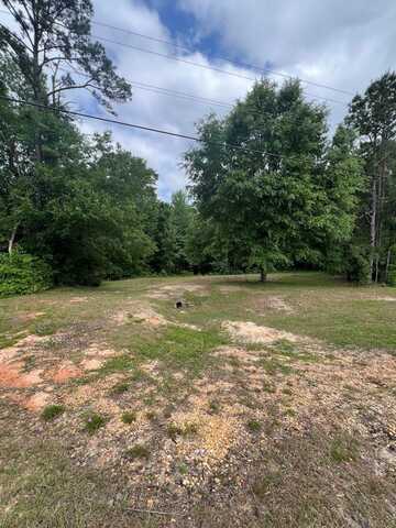 Lot 7 Union Hill Road, Troy, AL 36081