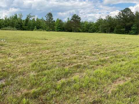 67 Beaver Pond Rd, Luverne, AL 36049