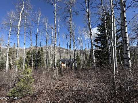 663 Red Fir Way, Oakley, UT 84055