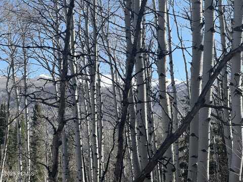 663 Red Fir Way, Oakley, UT 84055