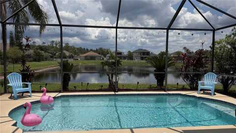 20307 FALLING ROCK DRIVE, LAND O LAKES, FL 34638