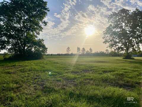 3595 Sardine Road, Brewton, AL 36426