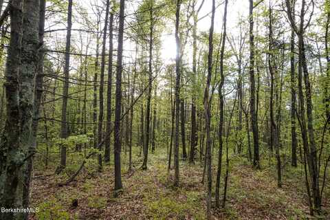0 Amory Ln, New Marlborough, MA 01259