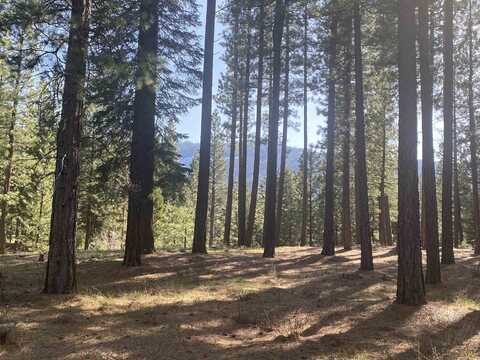 664 Bobcat Trail, Clio, CA 96106