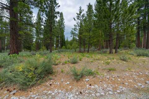 573 Bobcat Trail, Clio, CA 96106
