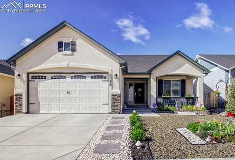2742 Show Hunter Way, Colorado Springs, CO 80922