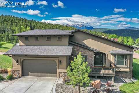 1105 Highlands Court, Woodland Park, CO 80863