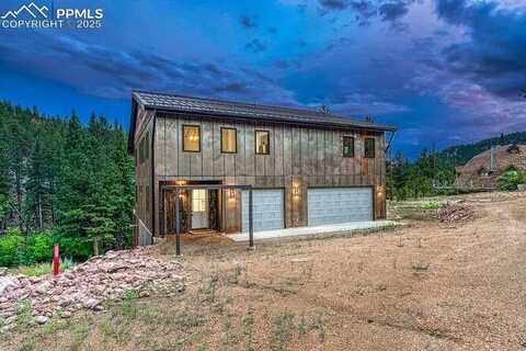1282 N Crystal Road, Lake George, CO 80827