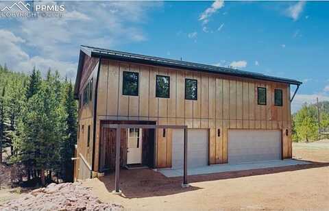 1282 N Crystal Road, Lake George, CO 80827