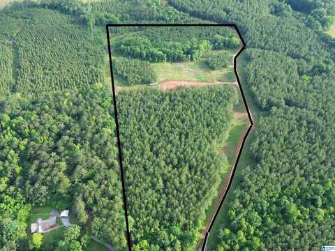 576 HIGHWAY 61, COLUMBIANA, AL 35051