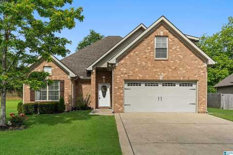 142 FALLING WATERS LANE, MAYLENE, AL 35114