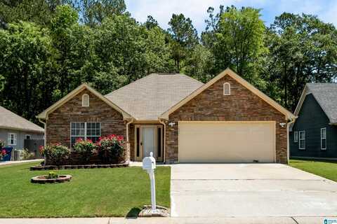 117 LAKE TERRACE, ALABASTER, AL 35007