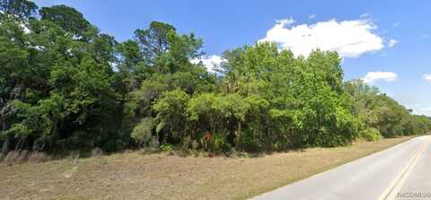 11175 W State Park Street, Crystal River, FL 34428