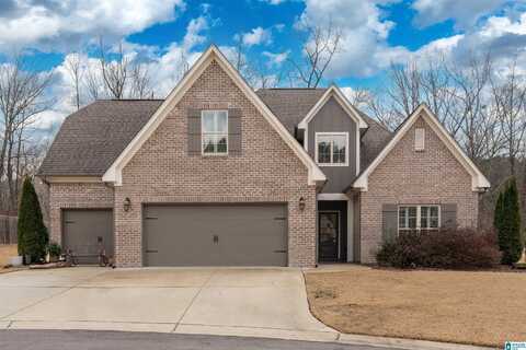 229 AMBERGATE CIRCLE, PELHAM, AL 35124