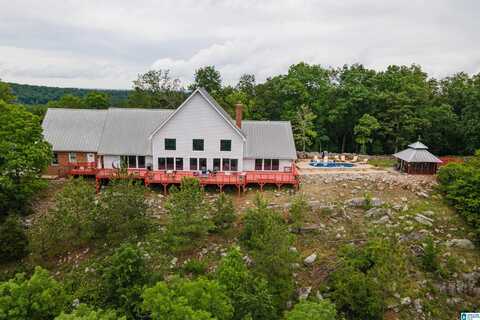 327 RIDGEVIEW LAKE ROAD, ALABASTER, AL 35007