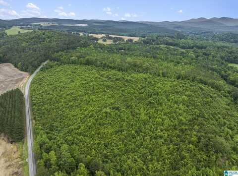 0 COUNTY ROAD 12, CENTRE, AL 35960
