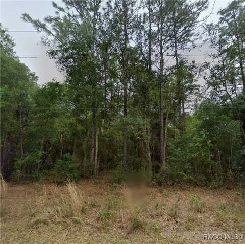 7956 W Tolle Lane, Dunnellon, FL 34433