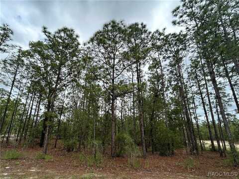Mellon Road, Weeki Wachee, FL 34614