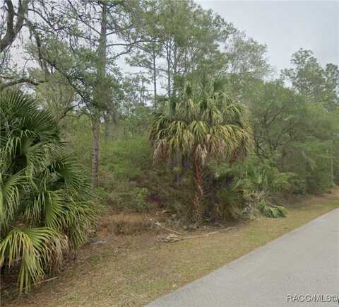 7951 W Tolle Lane, Dunnellon, FL 34433