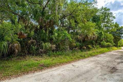 15085 W Roosters Crow Road, Inglis, FL 34449