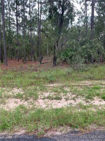 2810 W Xenox Drive, Citrus Springs, FL 34433