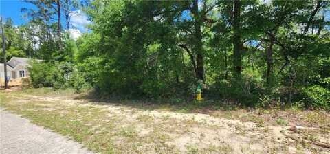 8619 N Dove Orchid Drive, Citrus Springs, FL 34434