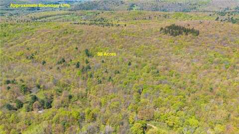 Sanly Road, Franklin, NY 13839