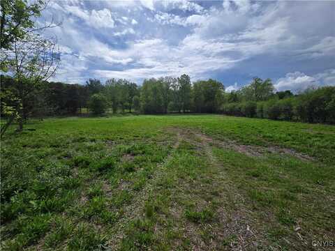 Lot 1 Apulia Road, La Fayette, NY 13078