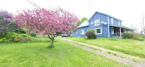 656 Candor Rd, Spencer, NY 14883
