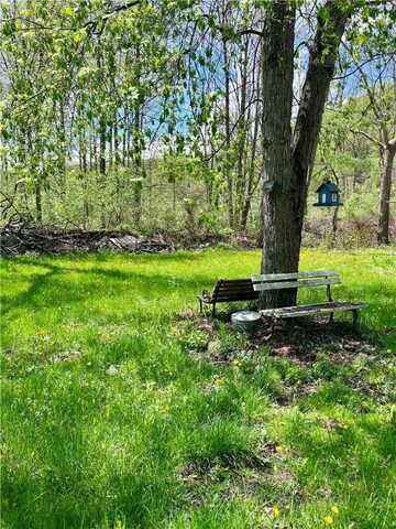 35 Burch Hill, Veteran, NY 14864