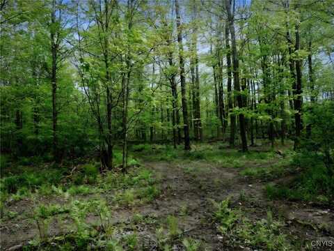 Doyle Road, Brookfield, NY 13485