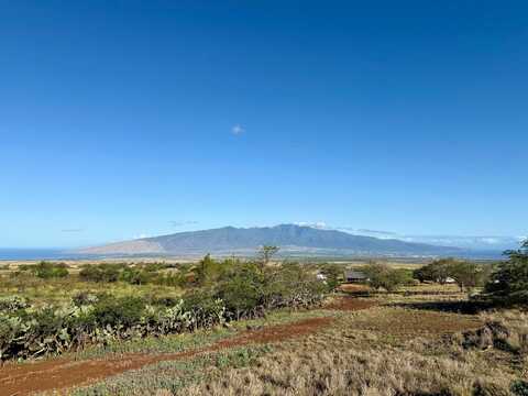 156 Ikena Kai Pl, Kula, HI 96790