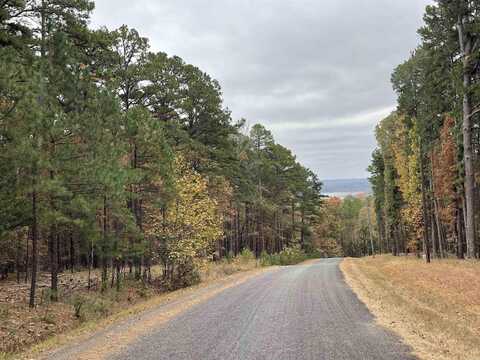 3 Lake Park Dr., Shirley, AR 72153