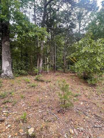 Lot 190 Pine Hill Road, Fairfield Bay, AR 72088