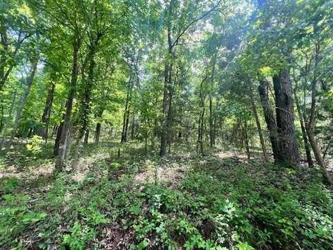 TBD Missouri Line Road, Mammoth Spring, AR 72554