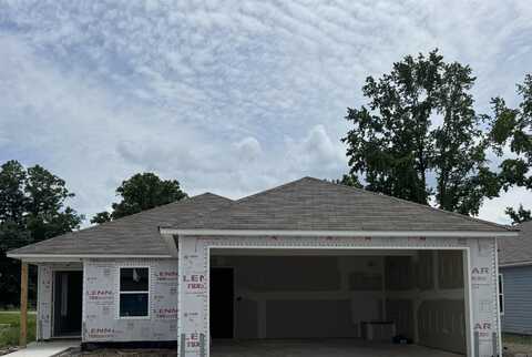 20 Bird House Way, Conway, AR 72032