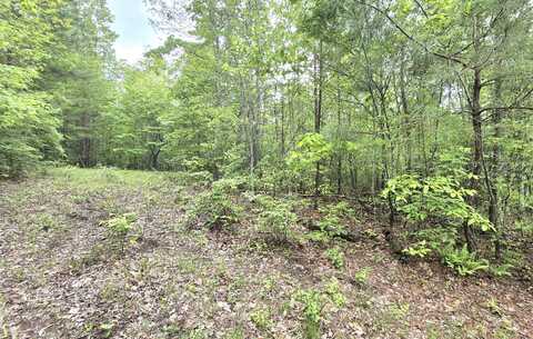 6070 Raulston Falls Road, Jasper, TN 37347