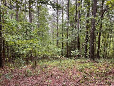 3715 Split Rail Way, Guild, TN 37340