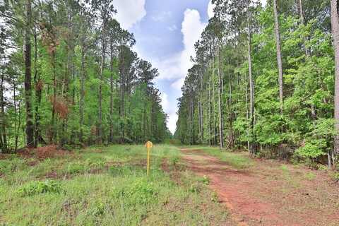 N PORTER, SHILOH, GA 31826