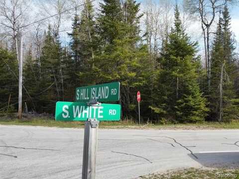0 S White Road, Cedarville, MI 49719