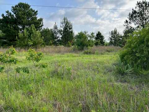 1445 JIMMY WELLS ROAD, ELLAVILLE, GA 31806
