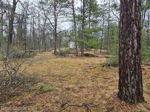 3774 S STEPHAN BRIDGE Road, Grayling, MI 49738