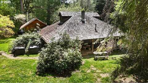 2128 STARVEOUT CREEK RD, Azalea, OR 97410